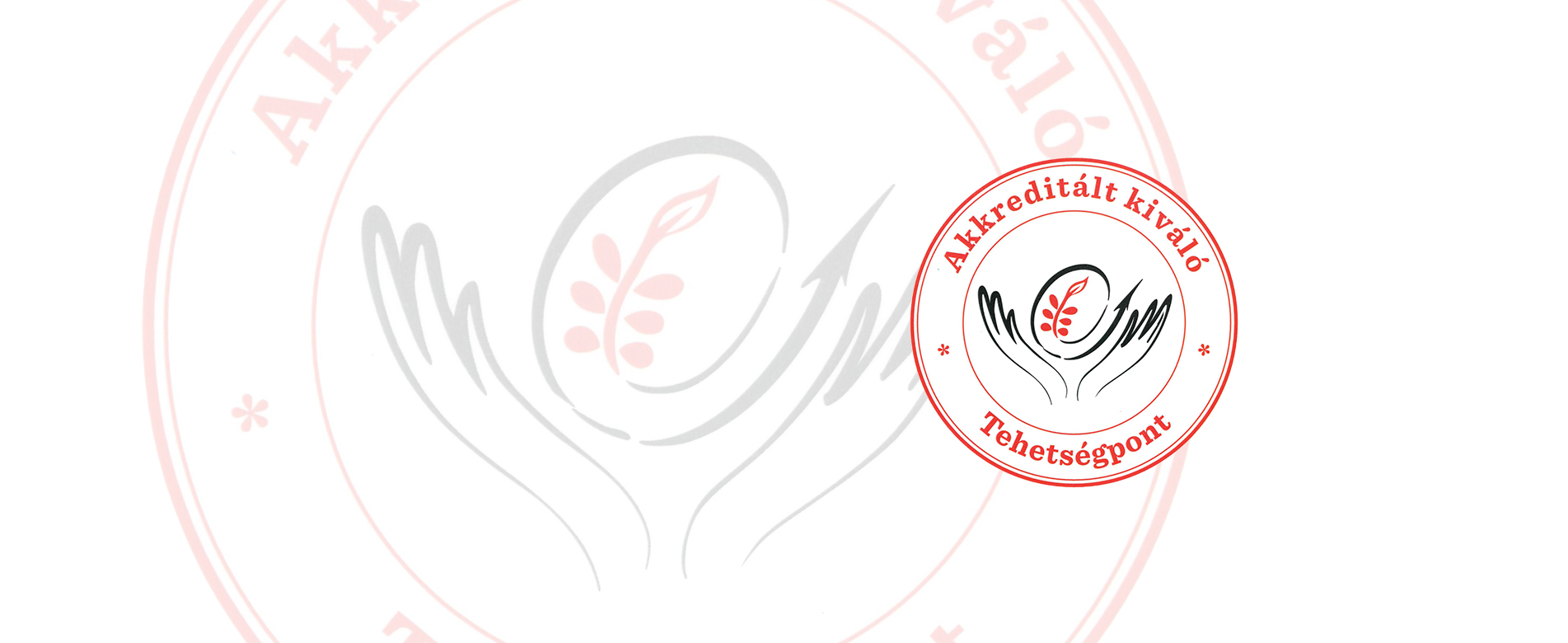 Ismét kiváló tehetségpont lett a Pedagógiai Kar